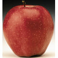 Ricerca: proprietà antitumorali nella buccia delle mele