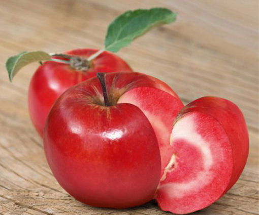 Redlove,mela rossa