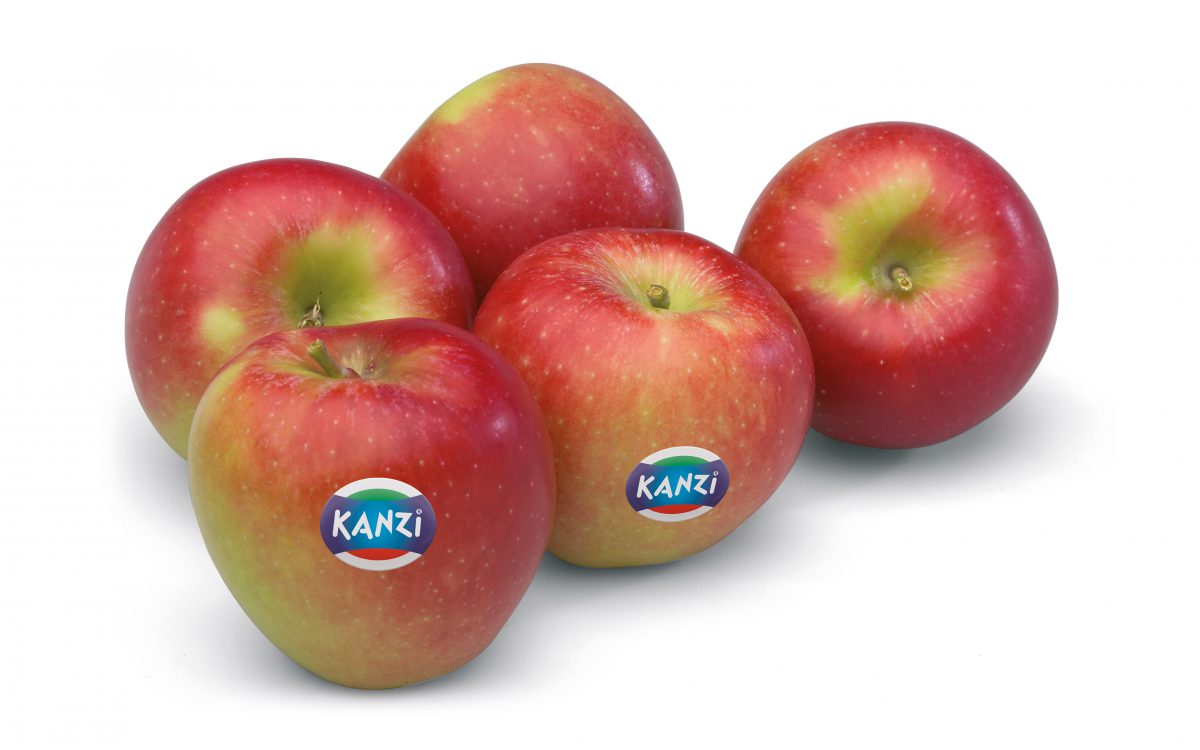 kanzi