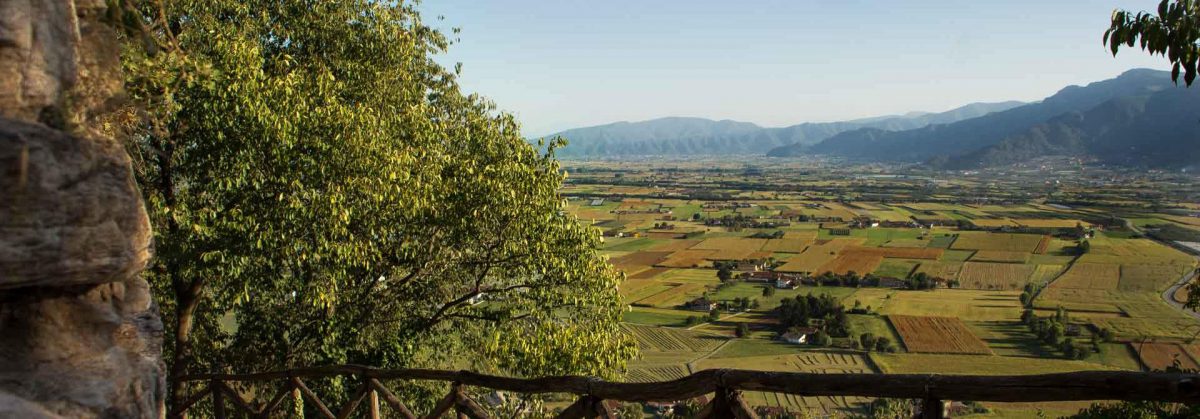 mele piemonte